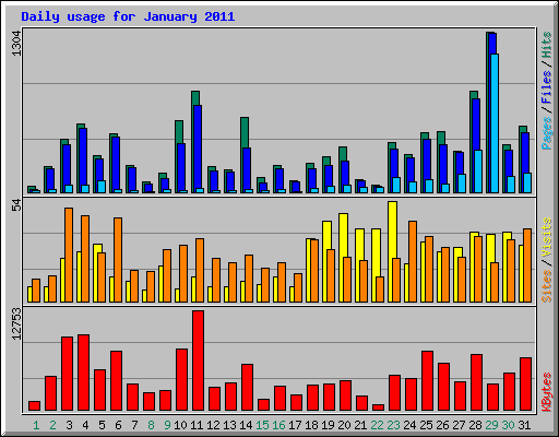 Daily usage for January 2011