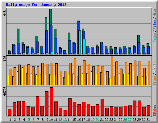 Daily usage for January 2013