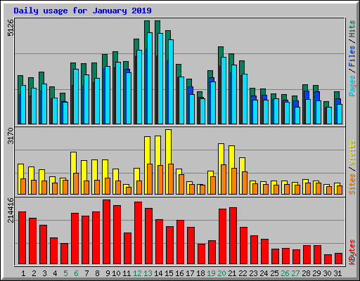 Daily usage for January 2019