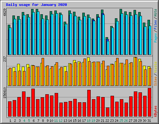 Daily usage for January 2020