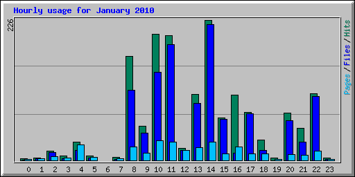 Hourly usage for January 2010