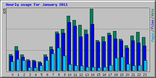 Hourly usage for January 2011