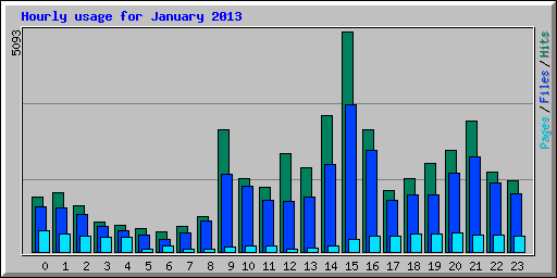 Hourly usage for January 2013