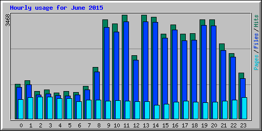 Hourly usage for June 2015