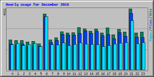 Hourly usage for December 2016