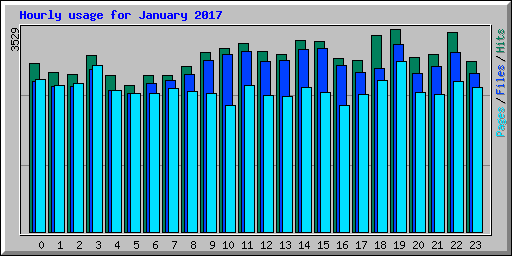 Hourly usage for January 2017