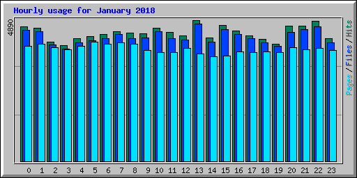 Hourly usage for January 2018