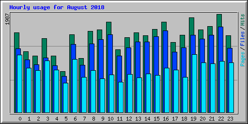 Hourly usage for August 2018