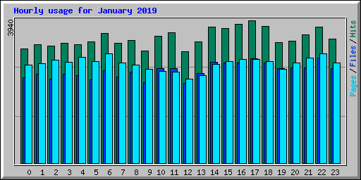 Hourly usage for January 2019