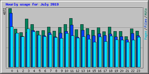 Hourly usage for July 2019