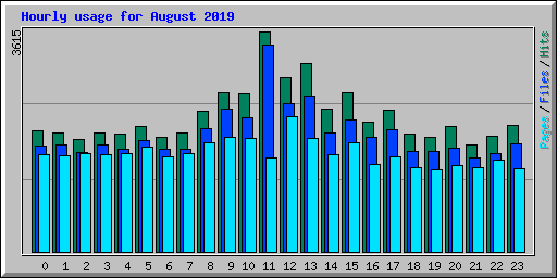 Hourly usage for August 2019