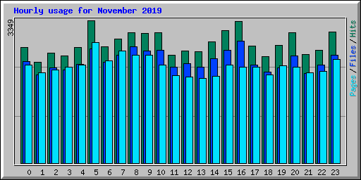 Hourly usage for November 2019