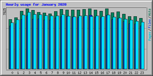 Hourly usage for January 2020