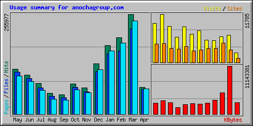 Usage summary for anochagroup.com